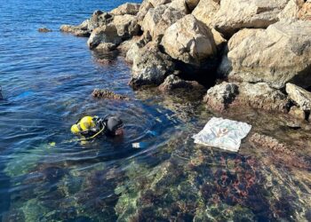 Imagen de un buceador participando en esta actividad en la bahía de Portmany