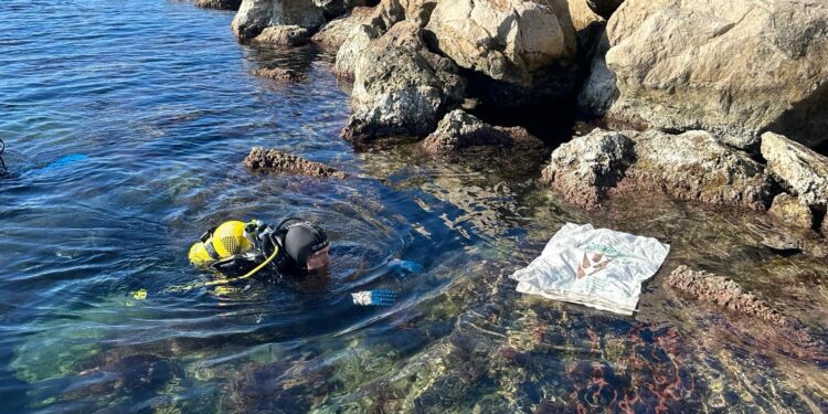 Imagen de un buceador participando en esta actividad en la bahía de Portmany