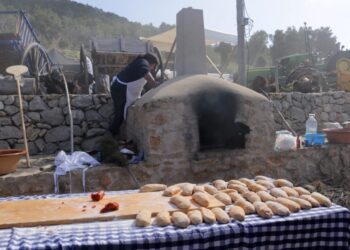 Preparación de las deliciosas  coquetes amb sobrassada de las Festes de Santa Agnès.