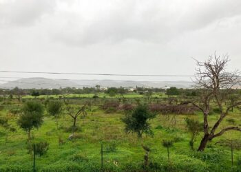 Las lluvias han sido constantes en enero.