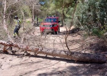 Los bomberos, en una intervención el pasado domingo en Ibiza