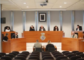 En la imagen, un momento del pleno de hoy en el Consell