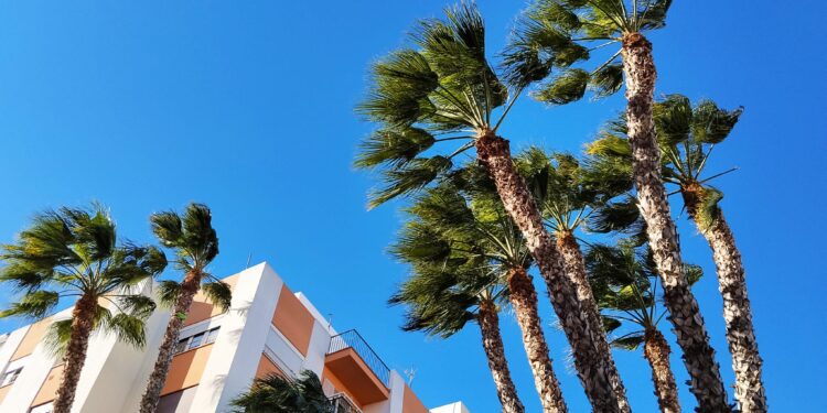 Viento en la ciudad de Ibiza. Fotos V. Ribas