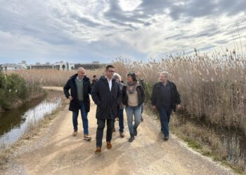 El equipo del ayuntamiento de Ibiza, en su visita a Ses Feixes esta mañana, quiere convertir esta zona húmeda en un pulmón para la ciudad.