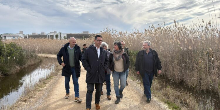 El equipo del ayuntamiento de Ibiza, en su visita a Ses Feixes esta mañana, quiere convertir esta zona húmeda en un pulmón para la ciudad.