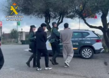 Imagen de las detenciones facilitada por la Guardia Civil.