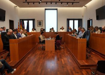 Momento del pleno de esta mañana en el Ayuntamiento de Ibiza.
