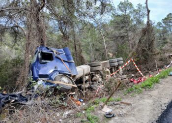 El camión accidentado hace un mes había quedado junto a la vía y ha sido retirado hoy, tras cinco horas de operativo.