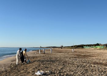 Tareas de limpieza en la zona de la playa de Es Cavallet. Foto Ayto Sant Josep