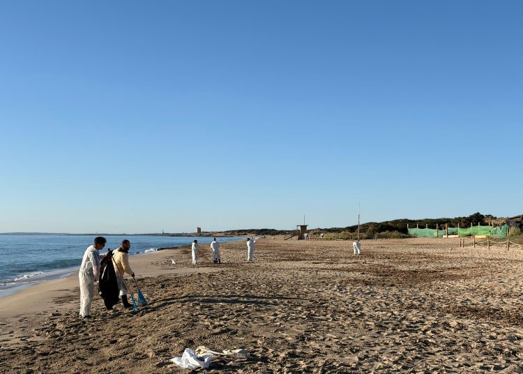 Tareas de limpieza en la zona de la playa de Es Cavallet. Foto Ayto Sant Josep