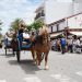 Imagen de un caballo con carro tradicional en las Festes de Maig de Santa Eulària (imagen de archivo).