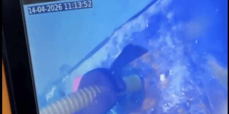 Instalación del tubo de extracción del combustible del yate hundido. Imágenes de la APB