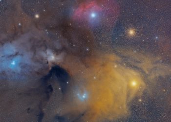 Imagen de Faustino Márquez tomada desde Ibiza