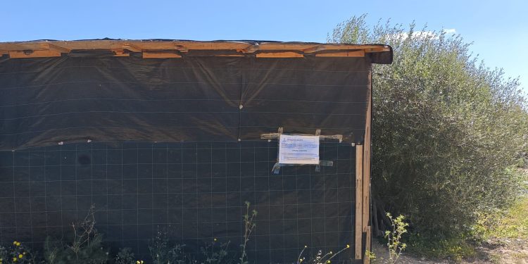 Imagen de una de las chabolas construidas en la zona de sa Joveria