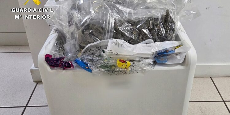 Paquete detectado con droga con destino a Ibiza. Imagen de Guardia Civil.