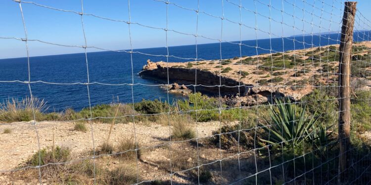 El Ayuntamiento paraliza el vallado de Cala Roja y cap Martinet solo por altura, pero lo permite. Foto: Noudiari