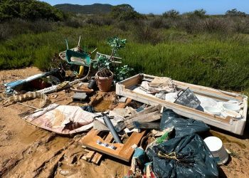 Vertido de basura de todo tipo, incluso con materiales tóxicos, encontrada el lunes en el Parque Natural de ses Salines. Fotografías de Noudiari.es
