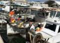 Muelle de la cofradía de pescadores de Ibiza.