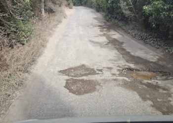 Una parte de las aguas fecales que rezumaba una fosa séptica del camí des Riu Danubi de Santa Eulària.