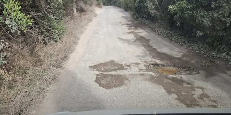 Una parte de las aguas fecales que rezumaba una fosa séptica del camí des Riu Danubi de Santa Eulària.