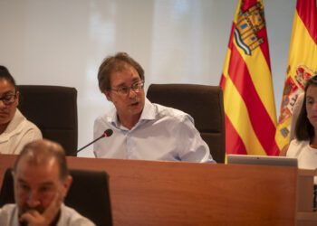 Salvador Losa, durante su intervención en el pleno.