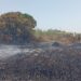 Zona arrasada por el fuego, en una imagen de Ibanat.