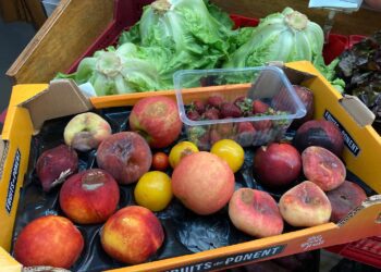 Frutas echadas a perder tras solo un día en el mostrador del Mercat Nou para una de las paradas de fruta y verdura. Foto: Noudiari