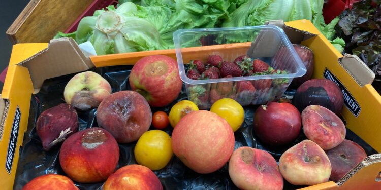 Frutas echadas a perder tras solo un día en el mostrador del Mercat Nou para una de las paradas de fruta y verdura. Foto: Noudiari