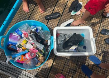 Parte de la basura recogida por los escolares.