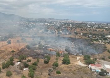 Imagen de la zona afectada por el incendio, compartida por la Conselleria de Medio Natural este mediodía en X.