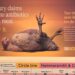 Imagen de la campaña en la que se usa el nombre de Ibiza asociado al consumo de drogas