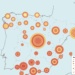 Mapa de municipio de más de 40.000 habitantes que sufrirán más días de olas de calor hasta 2050. Fuente: Atlas de vulnerabilidad al calor