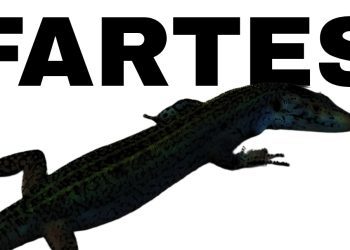 Parte del cartel que han compartido las personas convocantes.