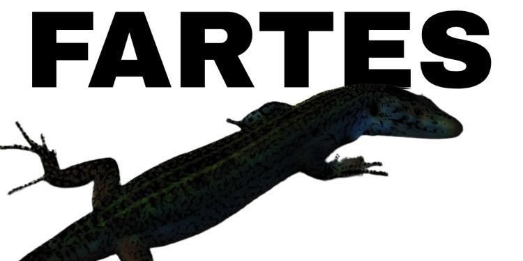 Parte del cartel que han compartido las personas convocantes.