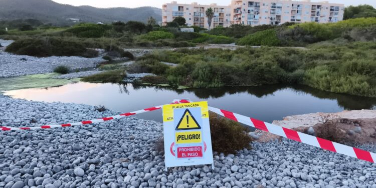 Vertidos en la zona de es Codolar. Fotos C. M. Noudiari.es