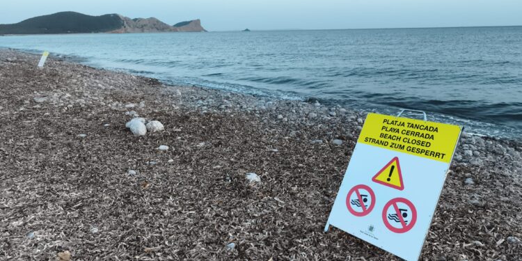 El tramo de playa cerrado al baño desde el viernes ha sido reabierto hoy al público. Foto de C. M. Noudiari.es