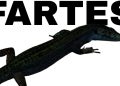 Imagen de parte del cartel de la convocatoria