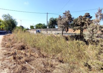 Imagen reciente del tramo del torrent de sa Font junto a Can Frígoles y al aeropuerto de Ibiza. Foto: Noudiari