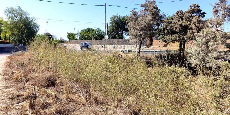 Imagen reciente del tramo del torrent de sa Font junto a Can Frígoles y al aeropuerto de Ibiza. Foto: Noudiari