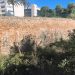 Imagen del muro vertiendo al Torrent de Cirer.