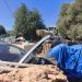 En la zona hay varios vehículos en estado de reparación o abandono, junto a numerosas estructuras de madera. Foto: Noudiari