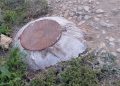 Imagen de una tapa de alcantarillado desbordada y numerosas toallitas secas en el exterior. Foto: Salvem sa Badia