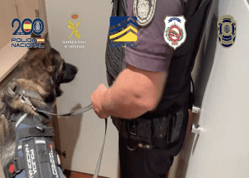 Un momento de una de las operaciones que han llevado a la detención de 27 personas, cuatro de ellas en Ibiza.