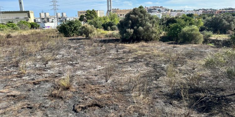 La superficie quemada, una zona de vegetación cercana a la central de Gesa, junto al segundo cinturón de ronda. Foto: Noudiari