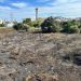La superficie quemada, una zona de vegetación cercana a la central de Gesa, junto al segundo cinturón de ronda. Foto: Noudiari